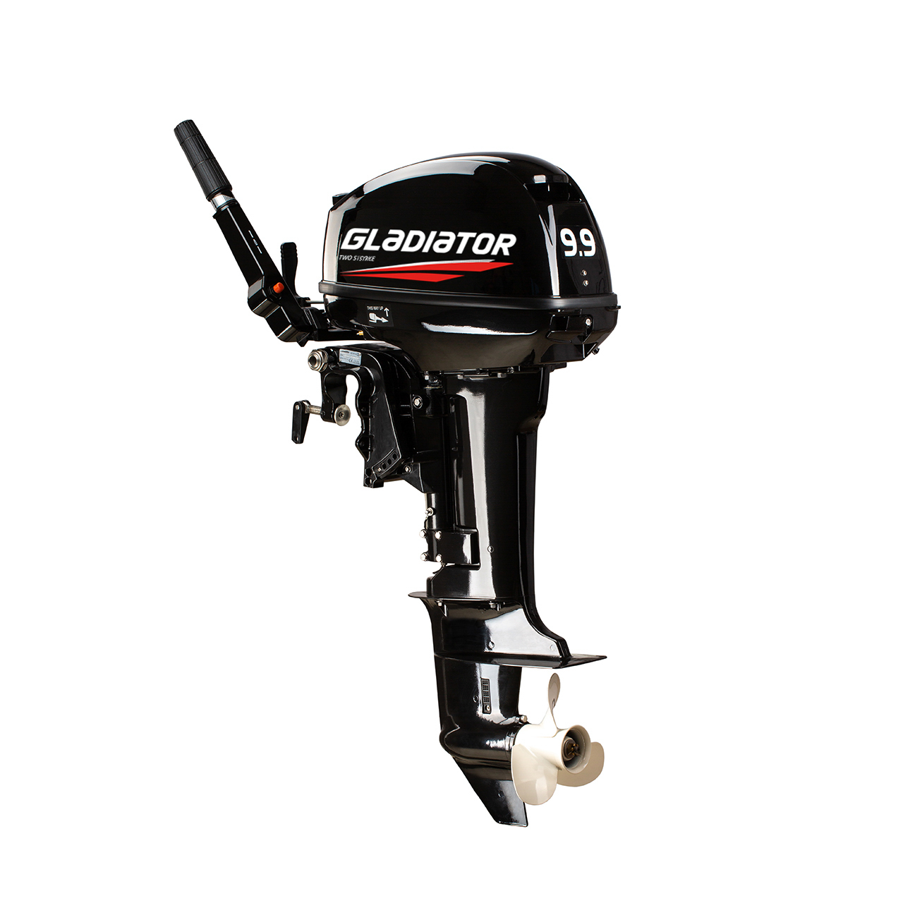 ЛОДОЧНЫЙ МОТОР GLADIATOR G9.9FHS в Красноярске ЛОДОЧНЫЙ МОТОР GLADIATOR G9.9FHS в Красноярске