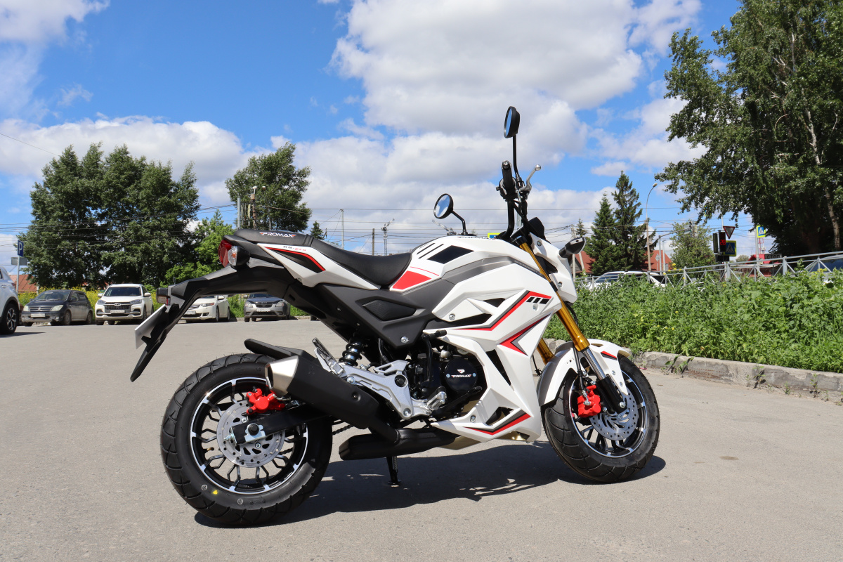 Мотоцикл PROMAX STRYKER 200(49) 2.0 в Красноярске Мотоцикл PROMAX STRYKER 200(49) 2.0 в Красноярске