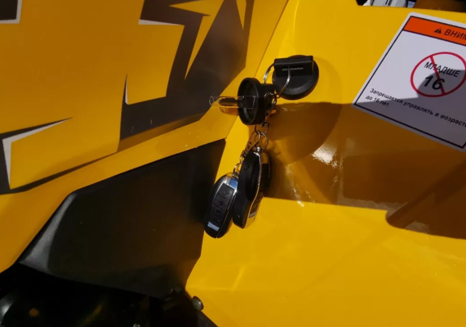 Квадроцикл MOTOLAND (МОТОЛЕНД) VOX200 WILD TRACK X PRO (баланс. вал) в Красноярске