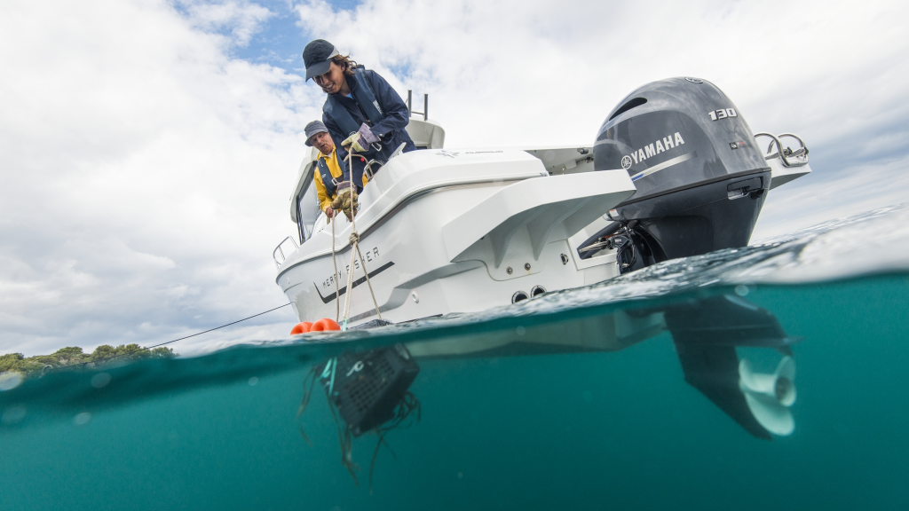 ЛОДОЧНЫЙ МОТОР YAMAHA F130 AETX в Красноярске ЛОДОЧНЫЙ МОТОР YAMAHA F130 AETX в Красноярске