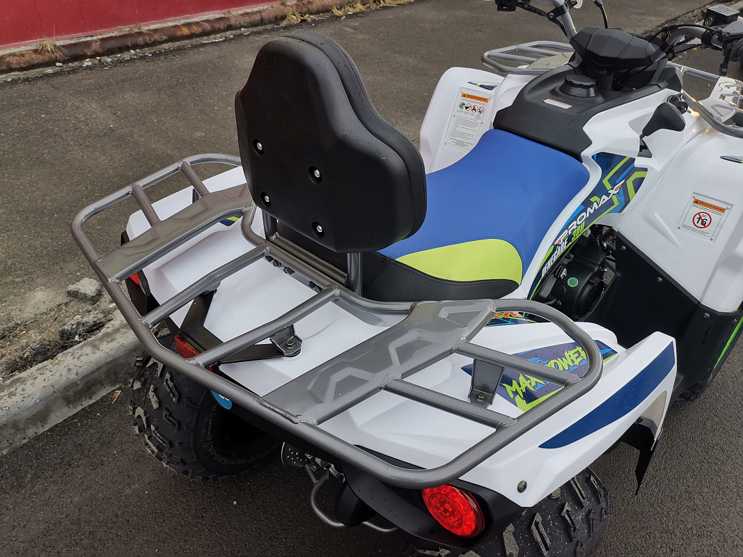 Квадроцикл PROMAX RENEGADE 280 LUX (2025) в Красноярске