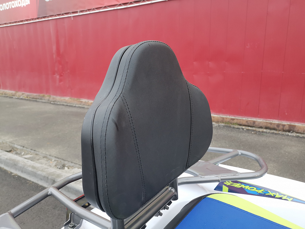 Квадроцикл PROMAX RENEGADE 280 LUX (2025) в Красноярске