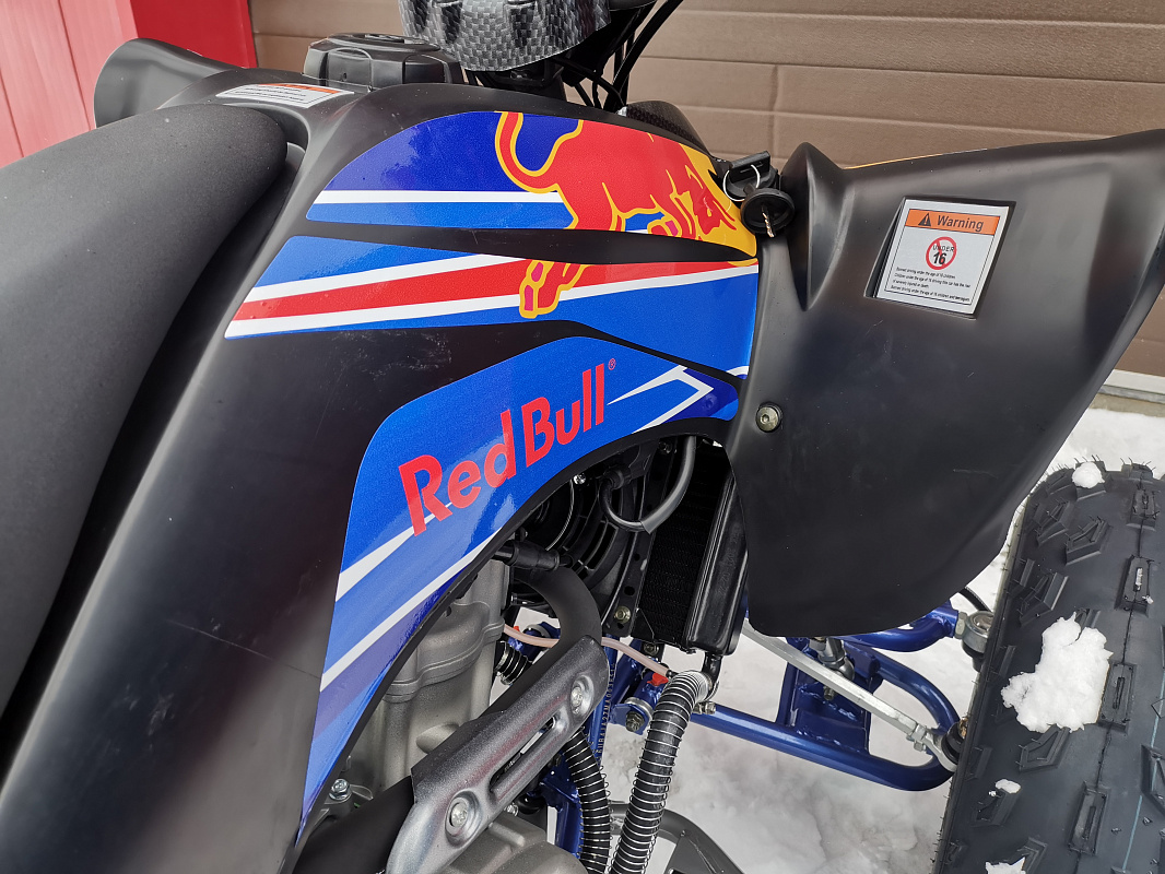 Квадроцикл PROMAX RAPTOR 300 NEW RedBull в Красноярске