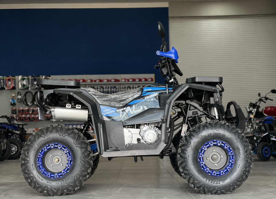 Квадроцикл PROMAX TAURUS 300 в Красноярске Квадроцикл PROMAX TAURUS 300 в Красноярске