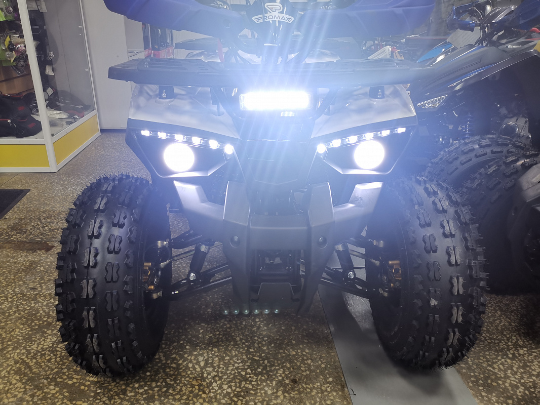 Квадроцикл PROMAX WILD 175 LUX в Красноярске Квадроцикл PROMAX WILD 175 LUX в Красноярске