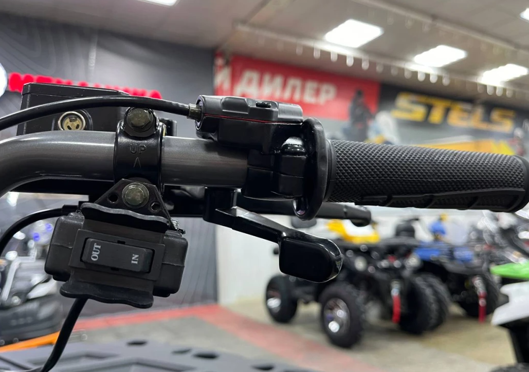 Квадроцикл PROMAX RENEGADE 300 LONG WINCH PRO (2025) в Красноярске Квадроцикл PROMAX RENEGADE 300 LONG WINCH PRO (2025) в Красноярске