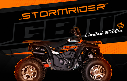 Квадроцикл GBM STORMRIDER 320 NEW LUX в Красноярске
