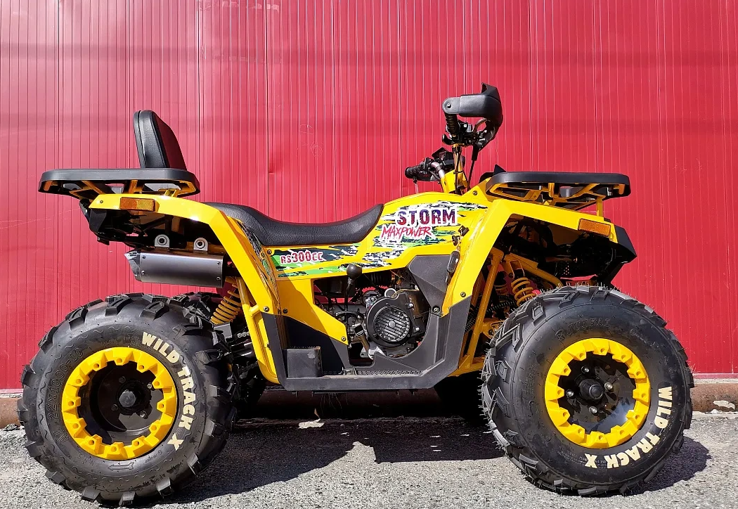 Квадроцикл PROMAX STORM 280 LUX в Красноярске Квадроцикл PROMAX STORM 280 LUX в Красноярске