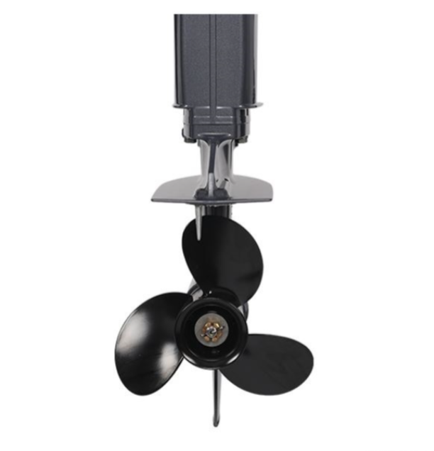 Лодочный мотор ALLFA CG Т40FW S в Красноярске Лодочный мотор ALLFA CG Т40FW S в Красноярске