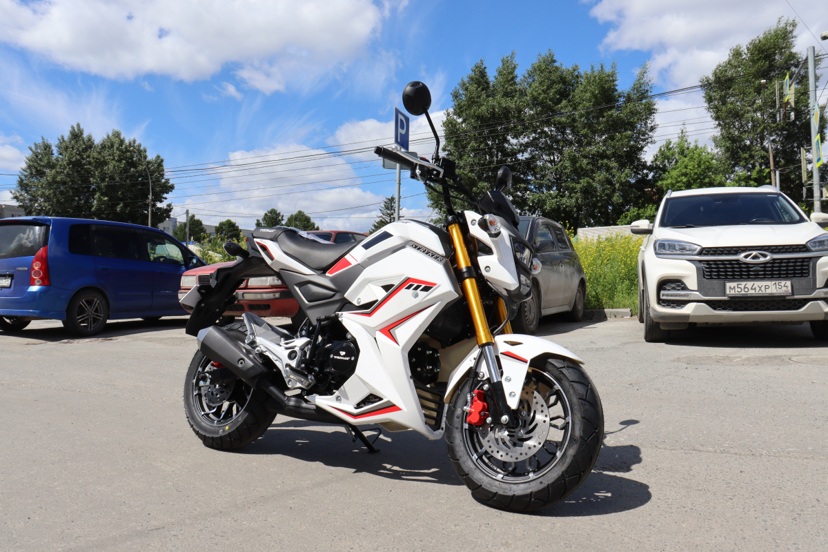 Мотоцикл PROMAX STRYKER 200(49) 2.0 в Красноярске Мотоцикл PROMAX STRYKER 200(49) 2.0 в Красноярске