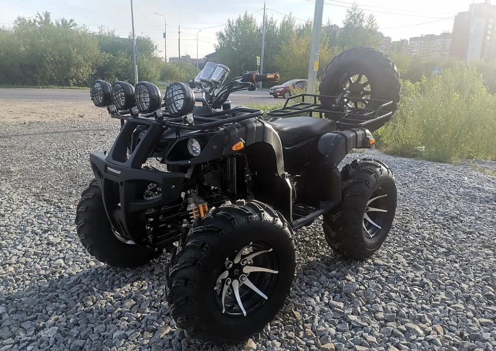 Квадроцикл PROMAX LEO 300 Max (кардан) в Красноярске