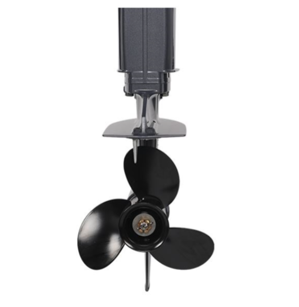 Лодочный мотор ALLFA CG Т40FWT S в Красноярске Лодочный мотор ALLFA CG Т40FWT S в Красноярске