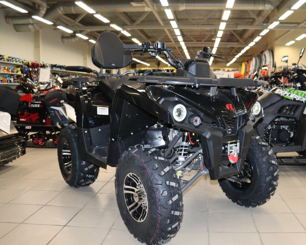 Квадроцикл PROMAX RENEGADE 300 LONG WINCH PRO (2025) в Красноярске Квадроцикл PROMAX RENEGADE 300 LONG WINCH PRO (2025) в Красноярске