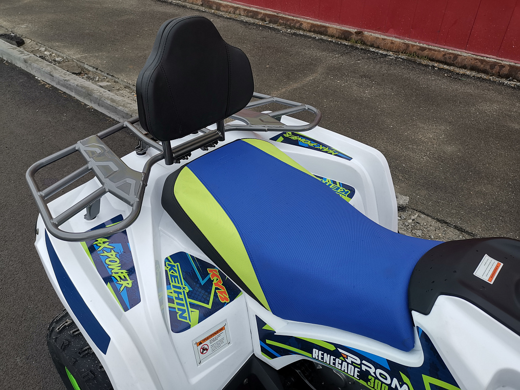 Квадроцикл PROMAX RENEGADE 280 LUX (2025) в Красноярске
