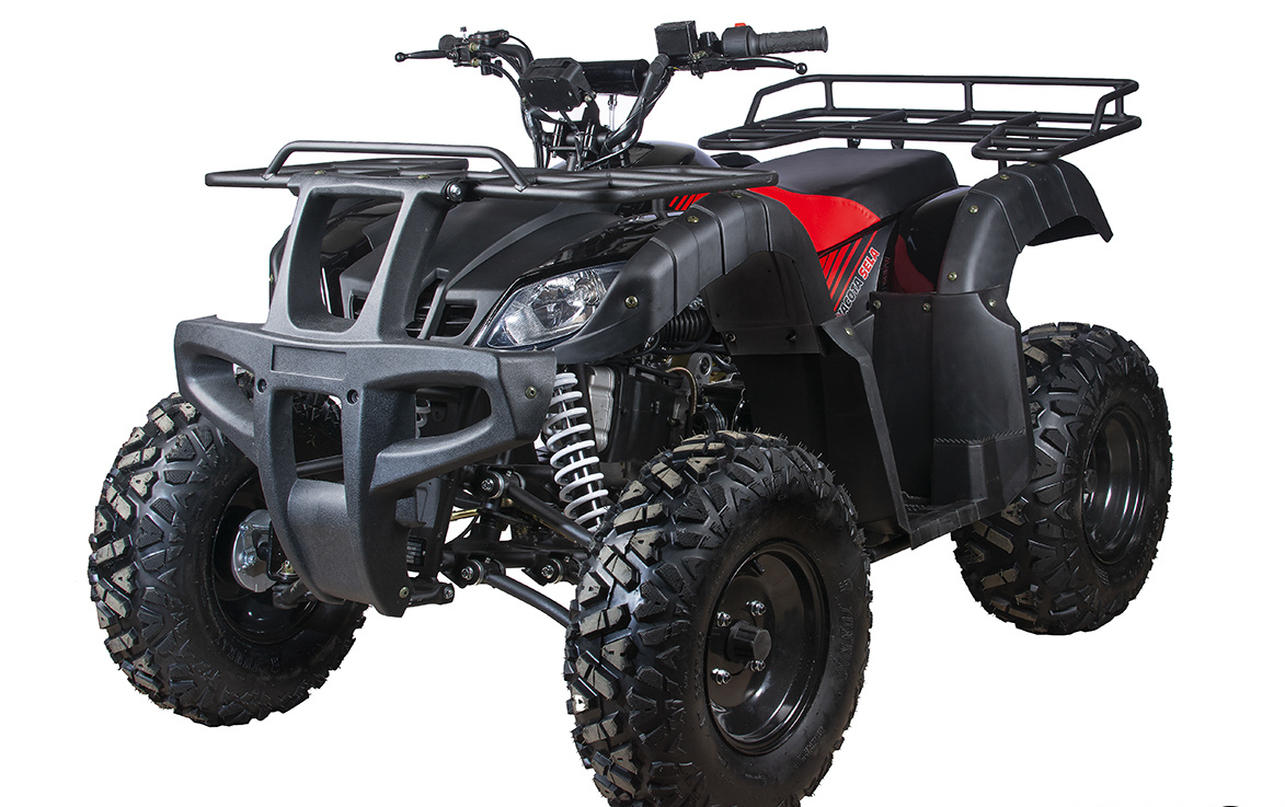 Квадроцикл YACOTA SELA 200 в Красноярске Квадроцикл YACOTA SELA 200 в Красноярске