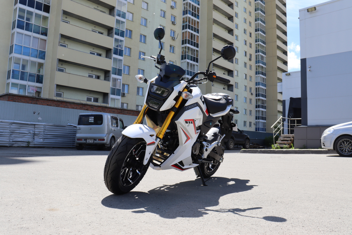 Мотоцикл PROMAX STRYKER 200(49) 2.0 в Красноярске Мотоцикл PROMAX STRYKER 200(49) 2.0 в Красноярске