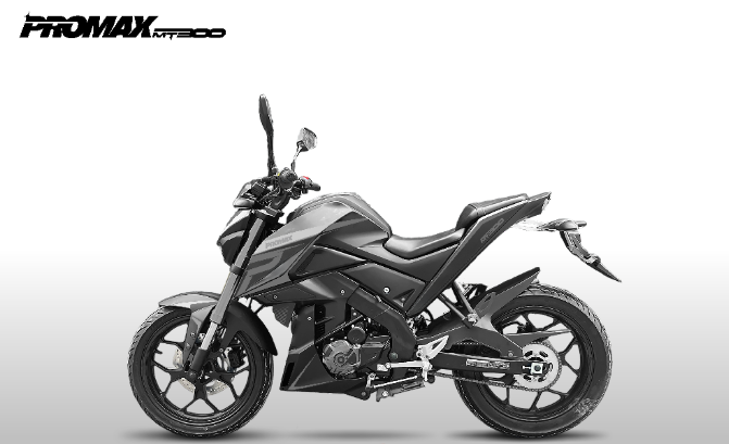 Мотоцикл PROMAX MT300 в Красноярске