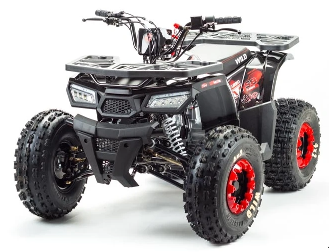 Квадроцикл PROMAX WILD 175 в Красноярске Квадроцикл PROMAX WILD 175 в Красноярске