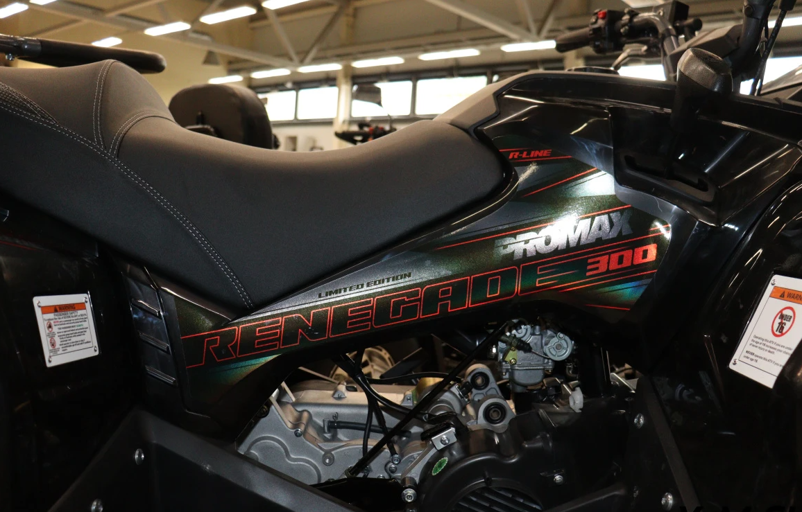 Квадроцикл PROMAX RENEGADE 300 LONG WINCH PRO (2025) в Красноярске Квадроцикл PROMAX RENEGADE 300 LONG WINCH PRO (2025) в Красноярске