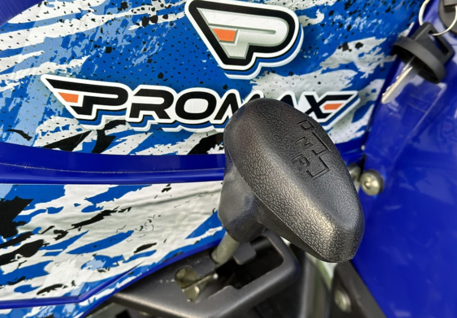 Квадроцикл PROMAX ATV 250 MAX (2025) в Красноярске  Квадроцикл PROMAX ATV 250 MAX (2025) в Красноярске