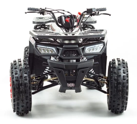 Квадроцикл PROMAX WILD 175 в Красноярске Квадроцикл PROMAX WILD 175 в Красноярске