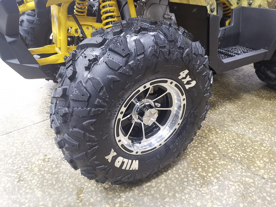 Квадроцикл PROMAX STORM 190 PRO в Красноярске Квадроцикл PROMAX STORM 190 PRO в Красноярске