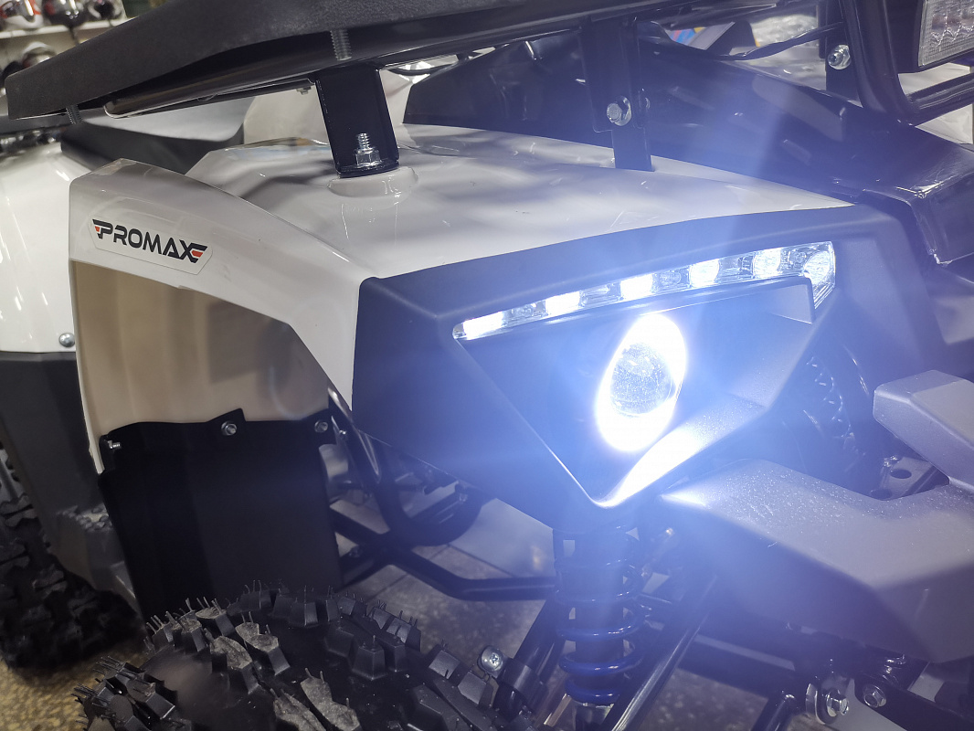 Квадроцикл PROMAX WILD 175 LUX в Красноярске Квадроцикл PROMAX WILD 175 LUX в Красноярске