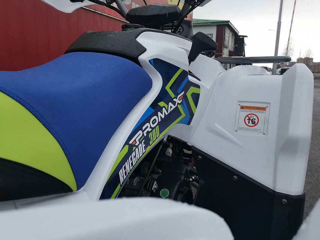 Квадроцикл PROMAX RENEGADE 280 LUX (2025) в Красноярске