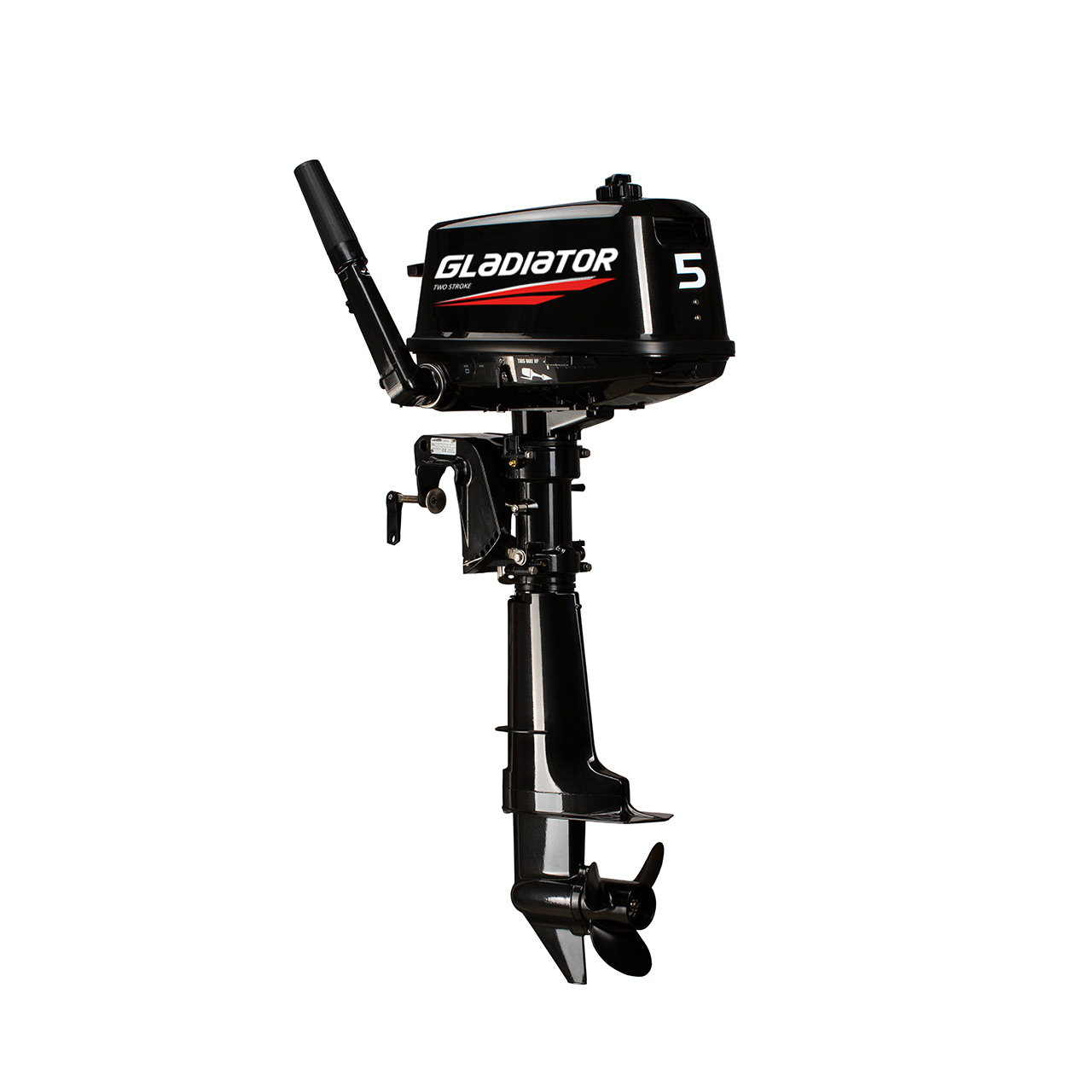 ЛОДОЧНЫЙ МОТОР GLADIATOR G5FHS в Красноярске ЛОДОЧНЫЙ МОТОР GLADIATOR G5FHS в Красноярске