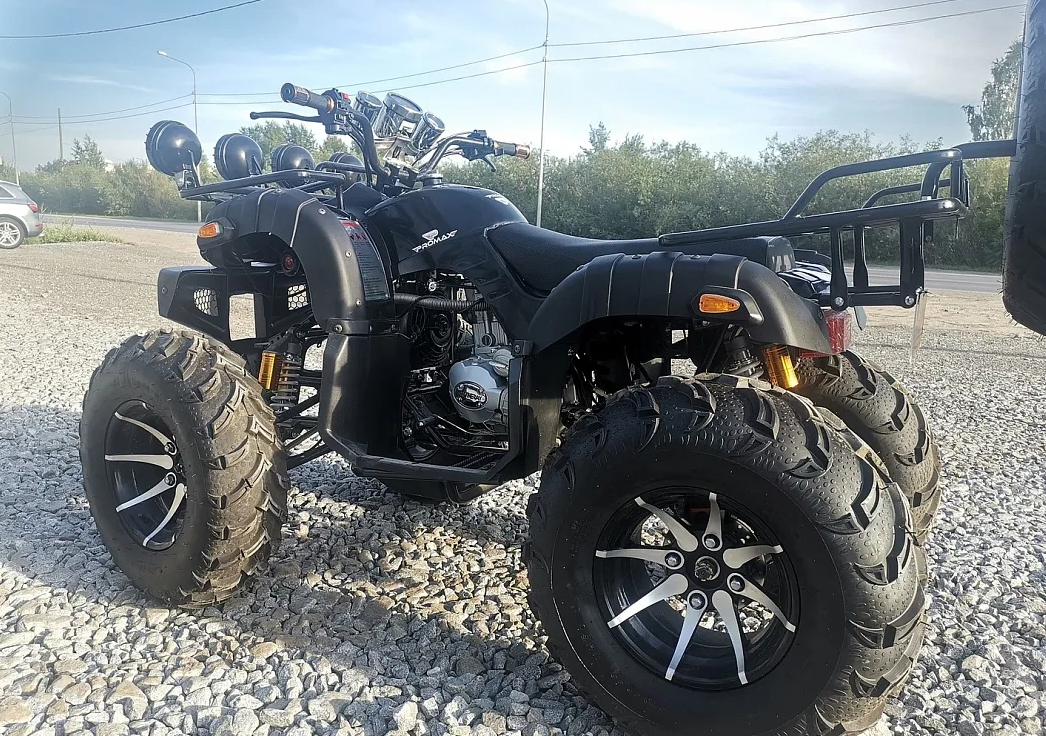 Квадроцикл PROMAX LEO 300 Max (кардан) в Красноярске