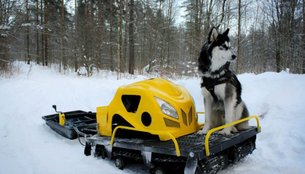 Мотобуксировщик LEBEDEV MOTORS ВОЛКОДАВ POWER V13 в Красноярске