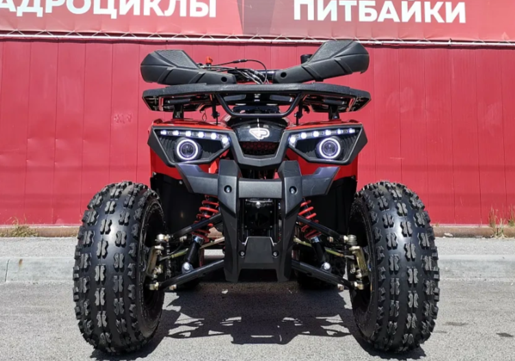 Квадроцикл PROMAX WILD 175 BASIC в Красноярске Квадроцикл PROMAX WILD 175 BASIC в Красноярске