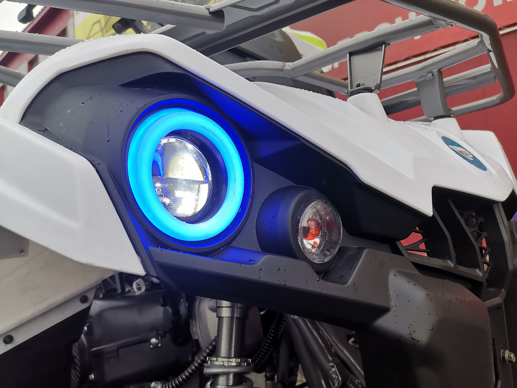 Квадроцикл PROMAX RENEGADE 280 LUX (2025) в Красноярске