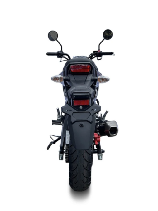 Мотоцикл PROMAX STRYKER 200(49) в Красноярске Мотоцикл PROMAX STRYKER 200(49) в Красноярске