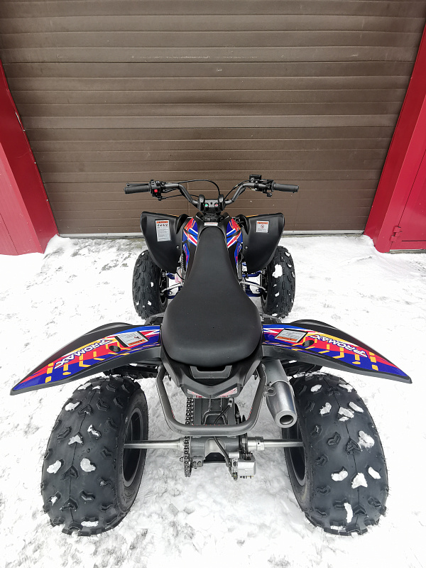 Квадроцикл PROMAX RAPTOR 300 NEW RedBull в Красноярске