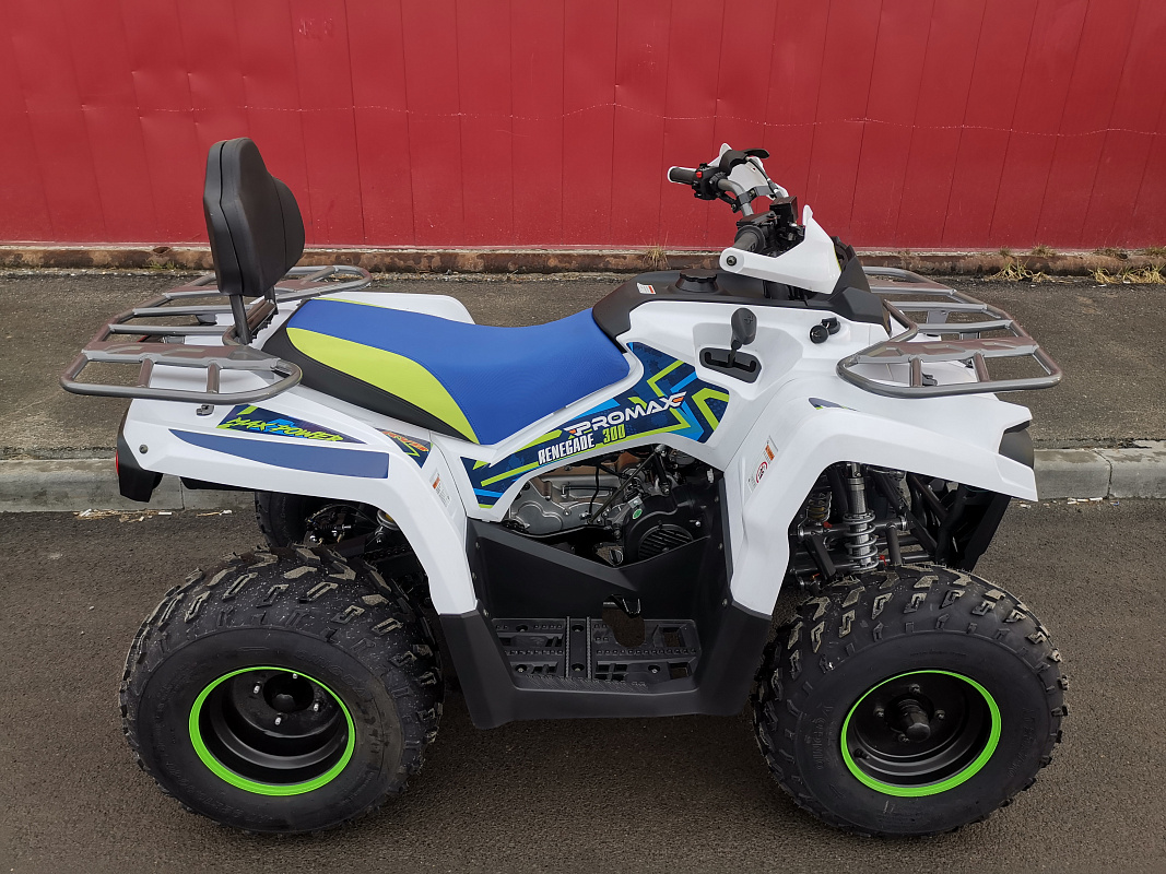 Квадроцикл PROMAX RENEGADE 280 LUX (2025) в Красноярске