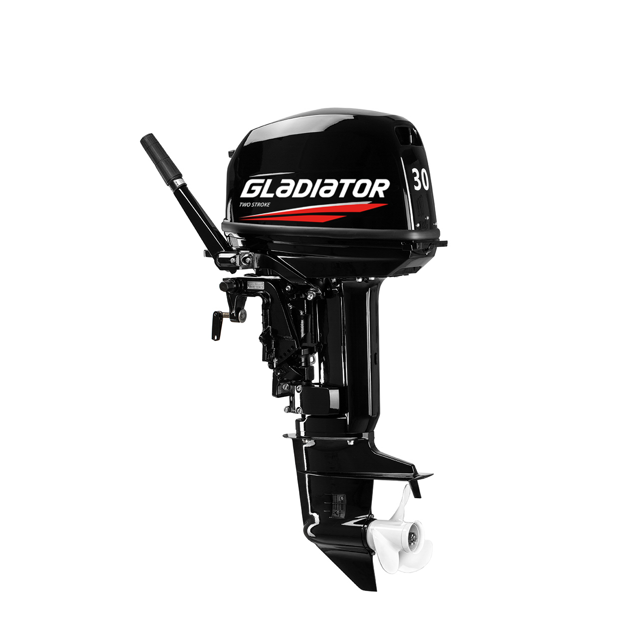 ЛОДОЧНЫЙ МОТОР GLADIATOR G30FHS в Красноярске ЛОДОЧНЫЙ МОТОР GLADIATOR G30FHS в Красноярске