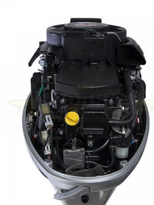 Лодочный мотор SEANOVO SNEF30FEL-EFI в Красноярске Лодочный мотор SEANOVO SNEF30FEL-EFI в Красноярске