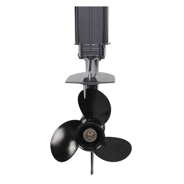 Лодочный мотор ALLFA CG T9.9(20) MAX Limit в Красноярске Лодочный мотор ALLFA CG T9.9(20) MAX Limit в Красноярске