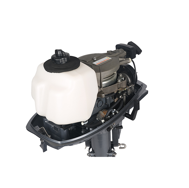 ЛОДОЧНЫЙ МОТОР ALLFA CG T5 в Красноярске