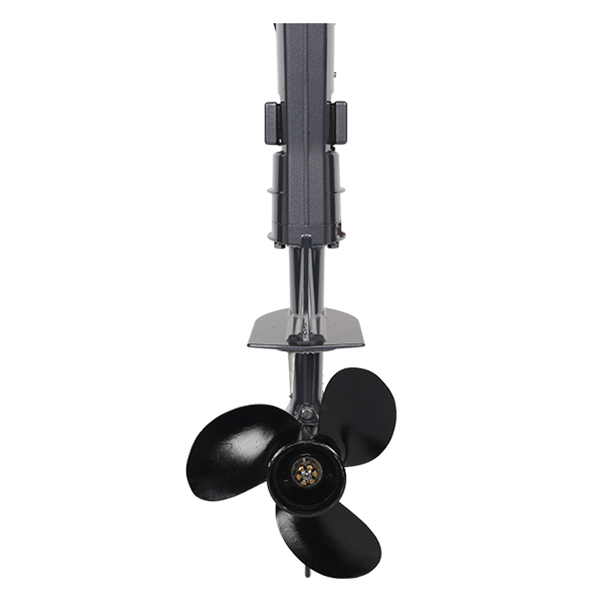 ЛОДОЧНЫЙ МОТОР ALLFA CG T5 в Красноярске