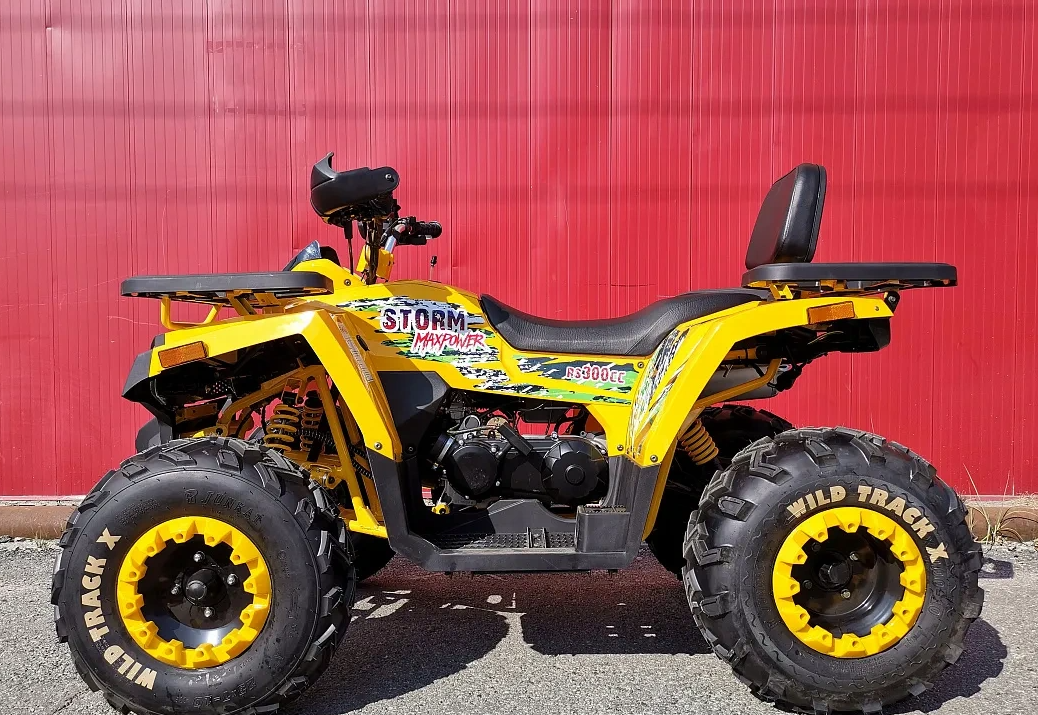 Квадроцикл PROMAX STORM 280 LUX в Красноярске Квадроцикл PROMAX STORM 280 LUX в Красноярске