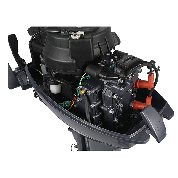 ЛОДОЧНЫЙ МОТОР ALLFA CG Т9,9 в Красноярске ЛОДОЧНЫЙ МОТОР ALLFA CG Т9,9 в Красноярске