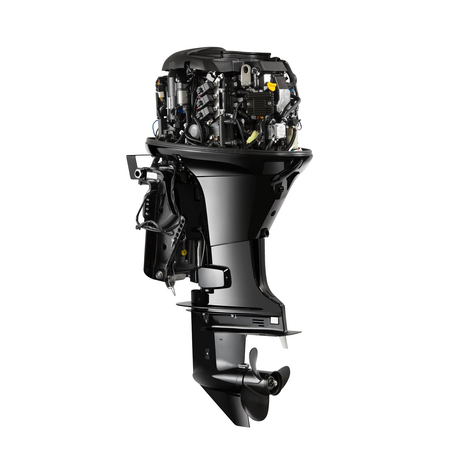 Лодочный мотор GLADIATOR GEF60FVEL-T в Красноярске Лодочный мотор GLADIATOR GEF60FVEL-T в Красноярске