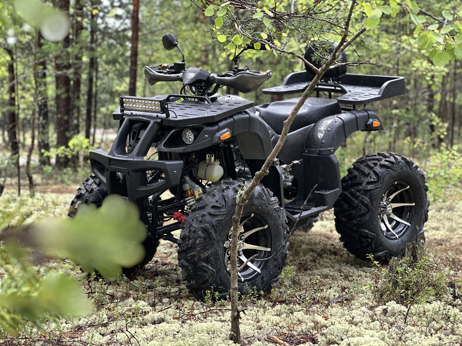 Квадроцикл PROMAX 320 DOMINATOR (2025) в Красноярске Квадроцикл PROMAX 320 DOMINATOR (2025) в Красноярске