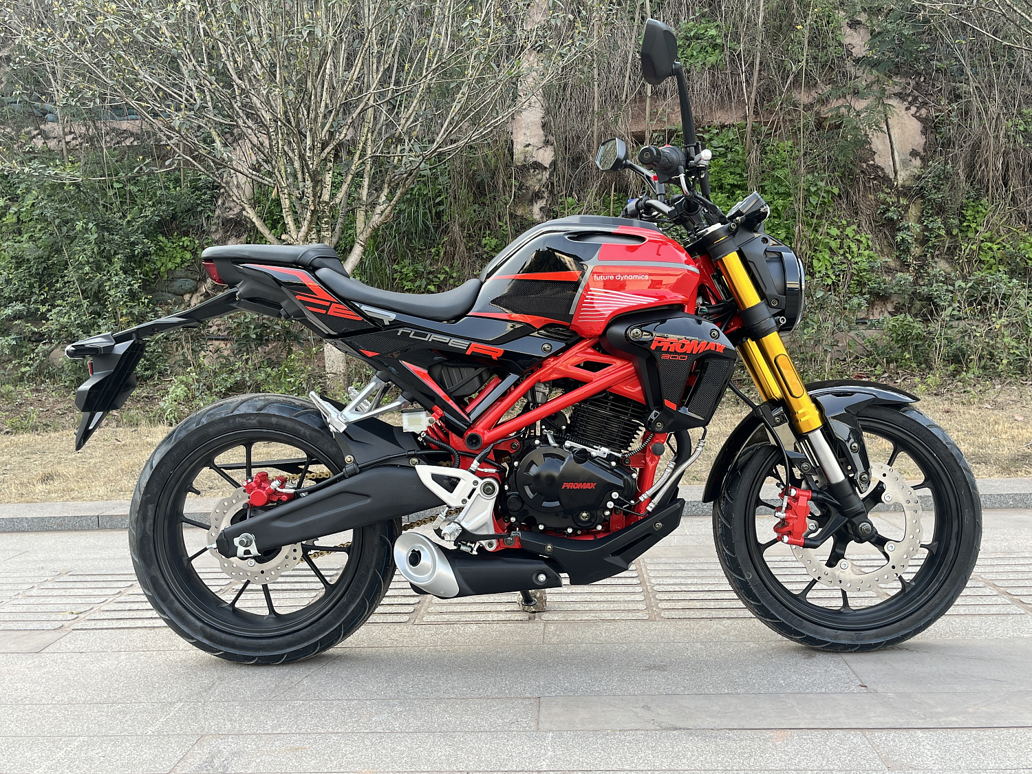 Мотоцикл PROMAX CB300 в Красноярске Мотоцикл PROMAX CB300 в Красноярске