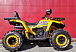 Квадроцикл PROMAX STORM 280 LUX в Красноярске Квадроцикл PROMAX STORM 280 LUX в Красноярске