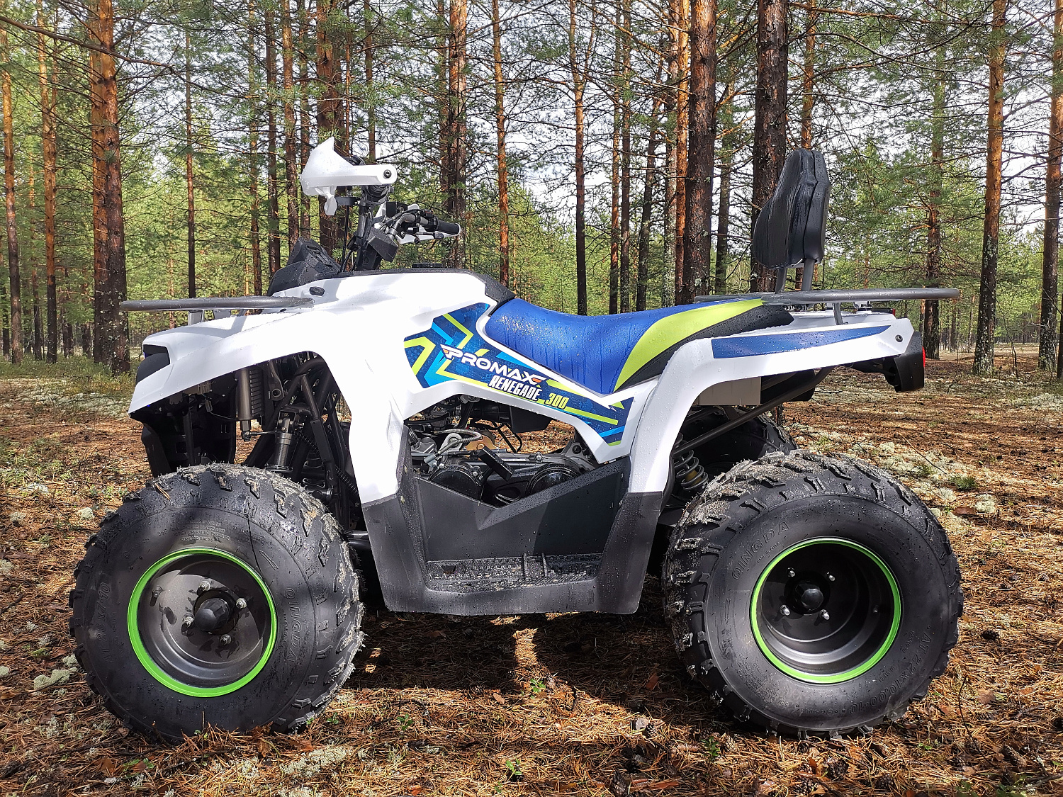 Квадроцикл PROMAX RENEGADE 280 (2025) в Красноярске