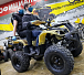 Квадроцикл PROMAX ATV 250 (2025) в Красноярске Квадроцикл PROMAX ATV 250 (2025) в Красноярске