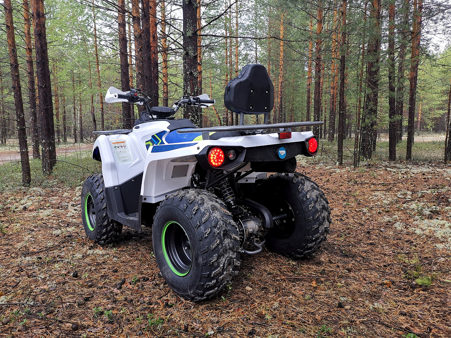 Квадроцикл PROMAX RENEGADE 280 (2025) в Красноярске
